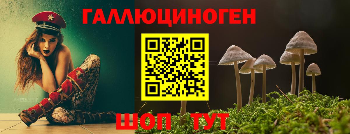 цены наркотик  Псилоцибиновые грибы мицелий  Вход с VPN  Унеча 
